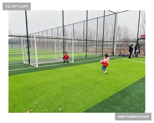 NBL球场设施升级，观众体验数字化提升